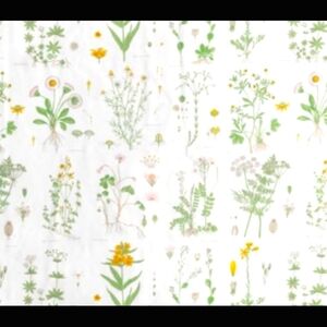 NWOT Ikea Strandkrypa Shower Curtain